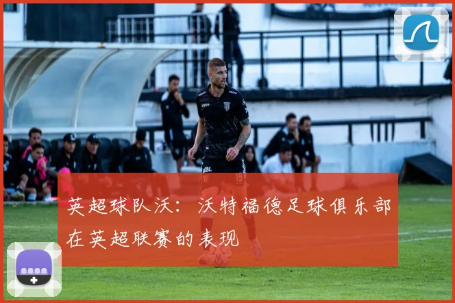 英超球队沃：沃特福德足球俱乐部在英超联赛的表现