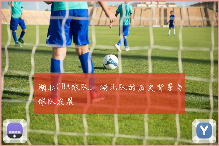 湖北CBA球队：湖北队的历史背景与球队发展