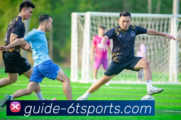 6T体育APP 封面图